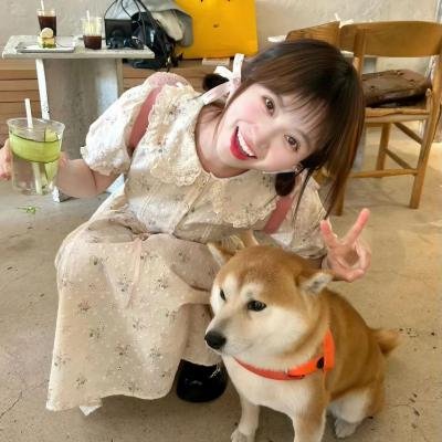 小熊历险记