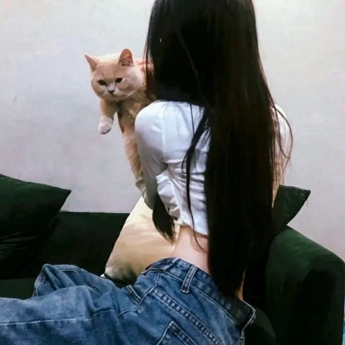 西游记粤语